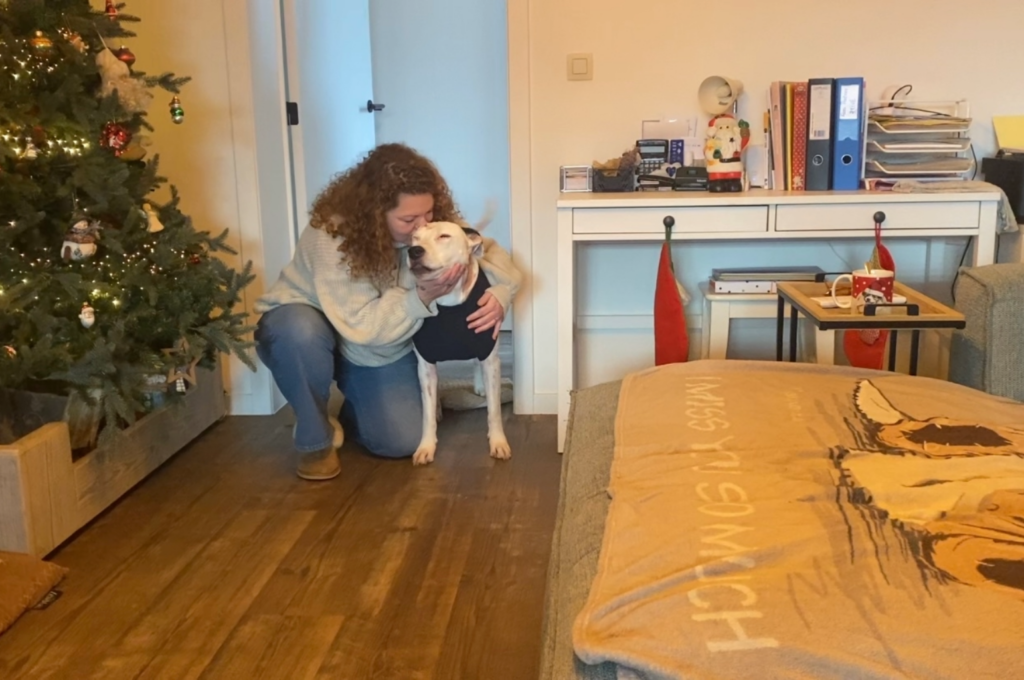 KIJK – Gezonde taarten en koekjes voor je hond – door Pauline Brabants