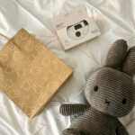 Waarom Nijntje opnieuw een hype is: de comeback van een iconisch konijntje – door Jill Swinnen