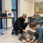 “Eerst snuffelen, dan knuffelen”: Zo maak je veilig contact met een hond – door Jill Swinnen