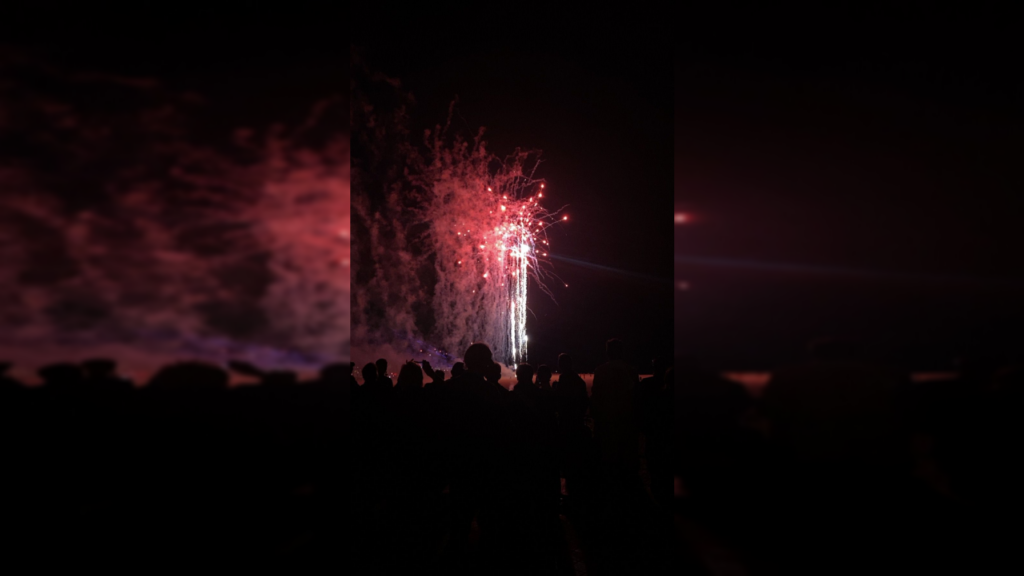 Vuurwerk afsteken? Denk ook eens aan de honden – door Luka Hardies