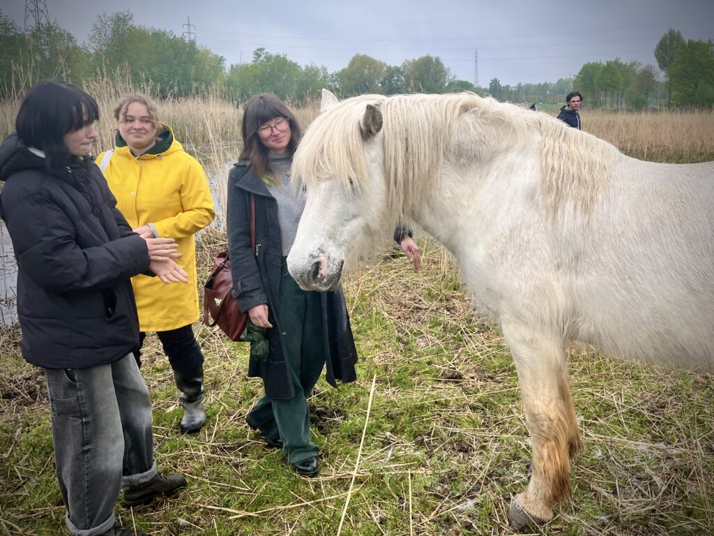 Veldstudie in de Sluisbeemden: eerstejaars Groenmanagement verkennen natuur – door Staf Lambrechts