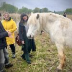 Veldstudie in de Sluisbeemden: eerstejaars Groenmanagement verkennen natuur – door Staf Lambrechts