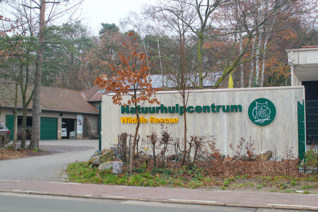 Dieren in oorlogsgebieden: wie is er om hen te redden?