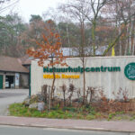 Dieren in oorlogsgebieden: wie is er om hen te redden?