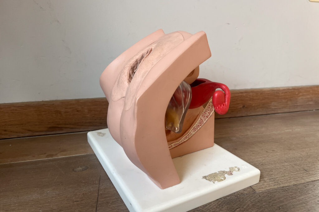 "Het was altijd: smeer dit zalfje en het komt wel goed.” ©Noor Corthouts