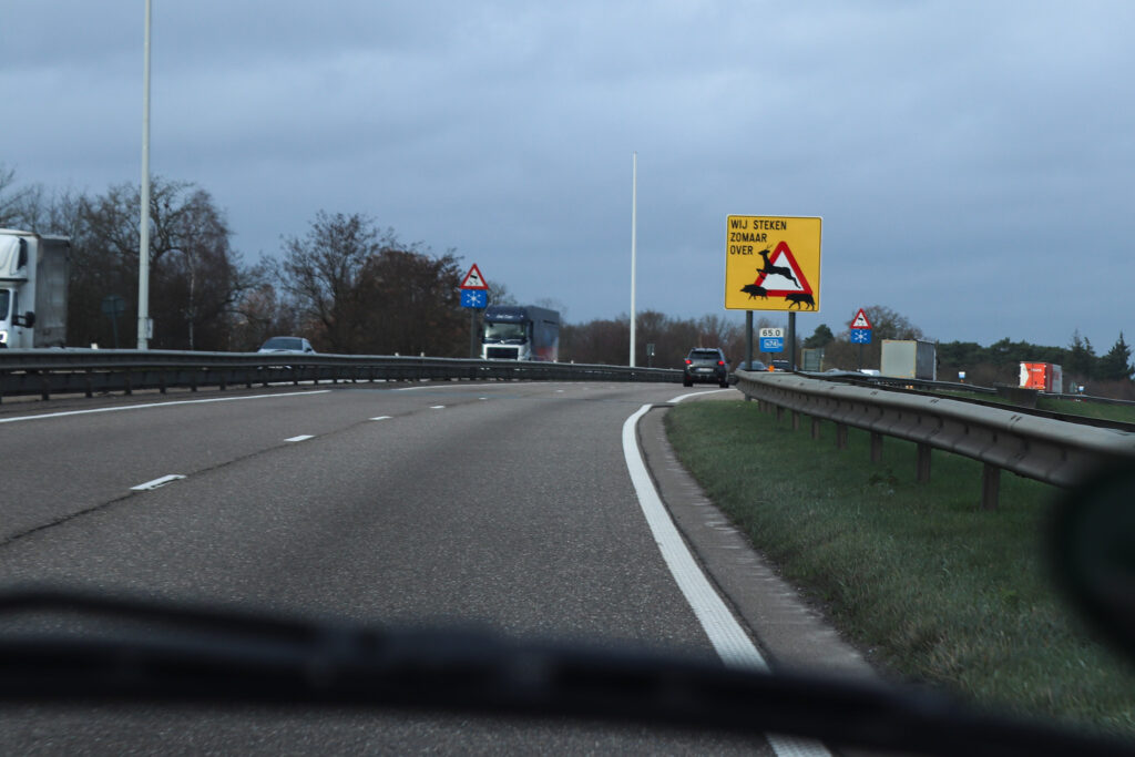 Limburg verliest zo’n miljoen dieren per jaar door verkeersonveiligheid