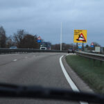 Limburg verliest zo’n miljoen dieren per jaar door verkeersonveiligheid