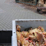 Vogelvoederen met vrijwilliger Johan van het Natuurhulpcentrum