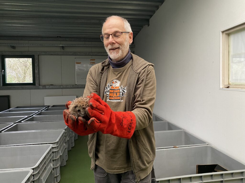 ‘Zolang ik het kan, blijf ik dit doen’: de drijvende kracht achter het Natuurhulpcentrum in Oudsbergen