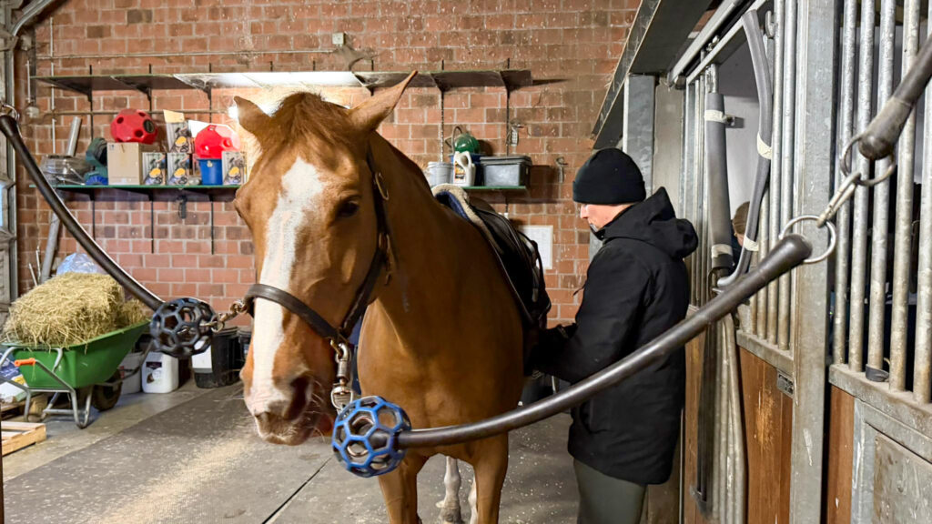 Familiecultuur in de paardensport: ‘Je krijgt misschien de juiste paarden en begeleiding, maar in de ring moet je het zelf doen’